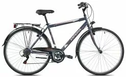 28″ Jalgratas Esperia BOSTON E6600 (pikkusele 170-185 Cm)