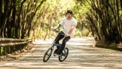 Electric Bicycle Fiido D11 (36 V / 11,6 Ah), Foldable 27 Electric Bicycle Fiido D11 (36 V / 11,6 Ah), Foldable -Bicycles shop elektrijalgratas fiido d11 foto 4