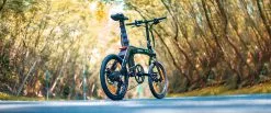 Electric Bicycle Fiido D21 (36 V / 11,6 Ah), Foldable 23 Electric Bicycle Fiido D21 (36 V / 11,6 Ah), Foldable -Bicycles shop elektrijalgratas fiido d21 10