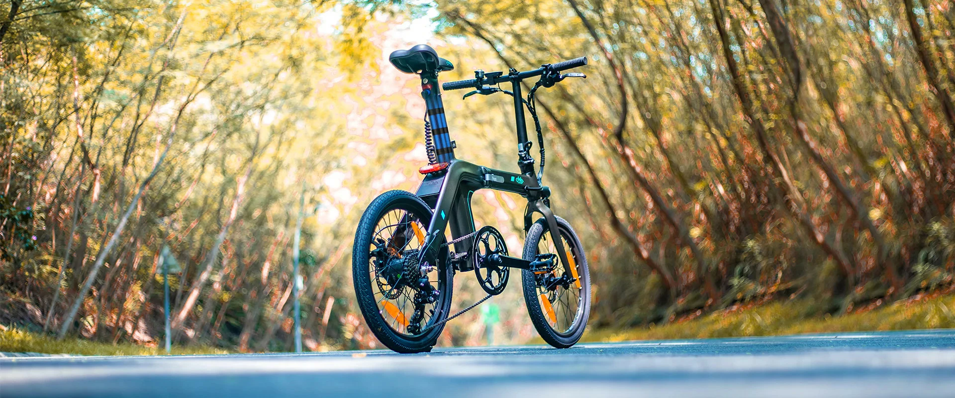 Electric Bicycle Fiido D21 (36 V / 11,6 Ah), Foldable 13 Electric Bicycle Fiido D21 (36 V / 11,6 Ah), Foldable - Image 11