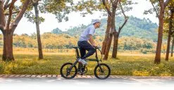 Electric Bicycle Fiido D21 (36 V / 11,6 Ah), Foldable 22 Electric Bicycle Fiido D21 (36 V / 11,6 Ah), Foldable -Bicycles shop elektrijalgratas fiido d21 11