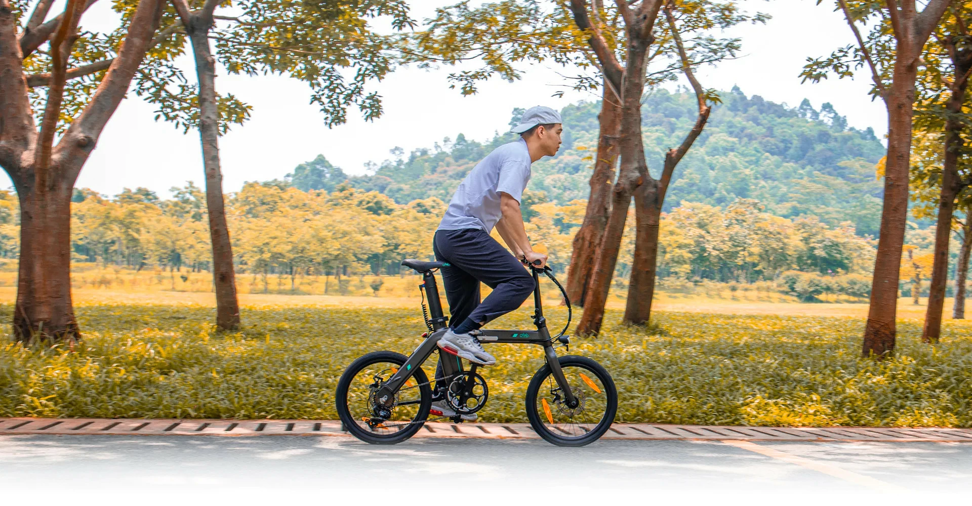 Electric Bicycle Fiido D21 (36 V / 11,6 Ah), Foldable 12 Electric Bicycle Fiido D21 (36 V / 11,6 Ah), Foldable - Image 10