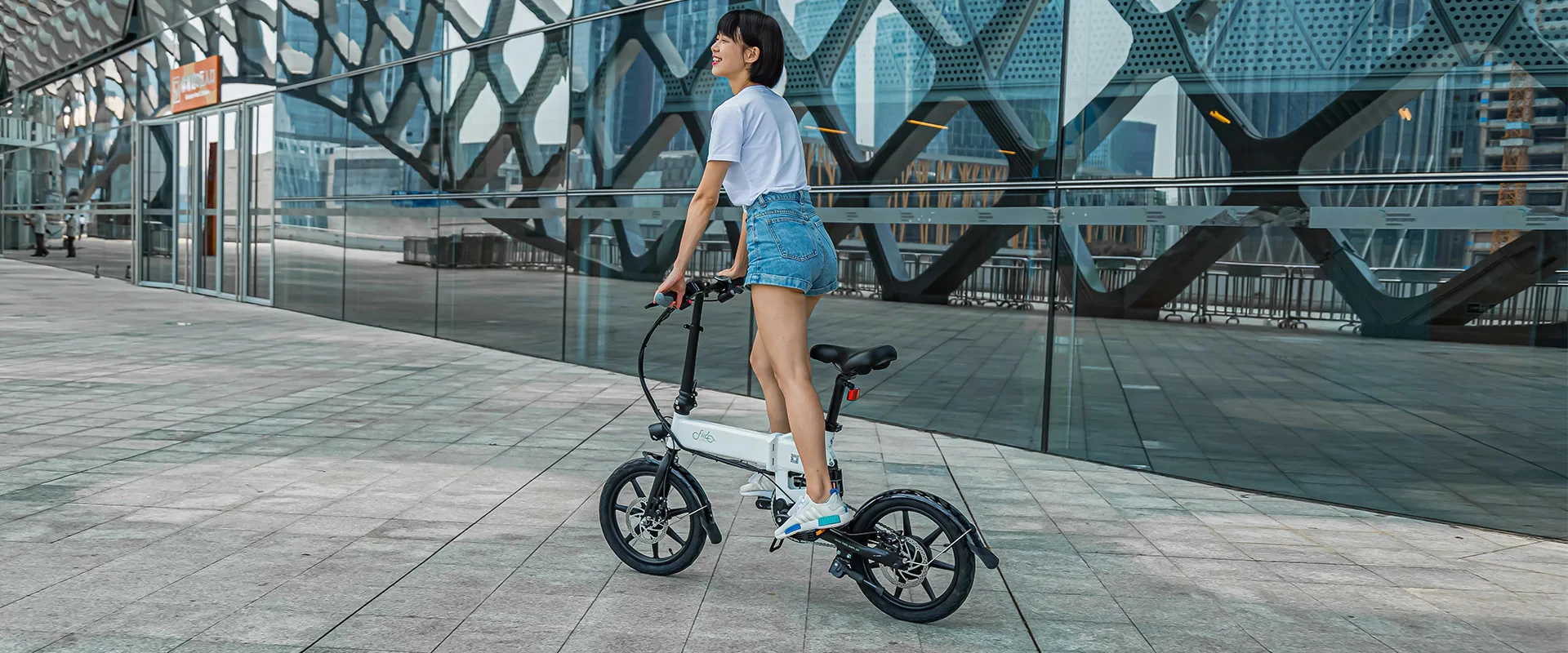 Electric Bicycle Fiido D2S (36 V / 7.8 Ah), Foldable 9 Electric Bicycle Fiido D2S (36 V / 7.8 Ah), Foldable - Image 7