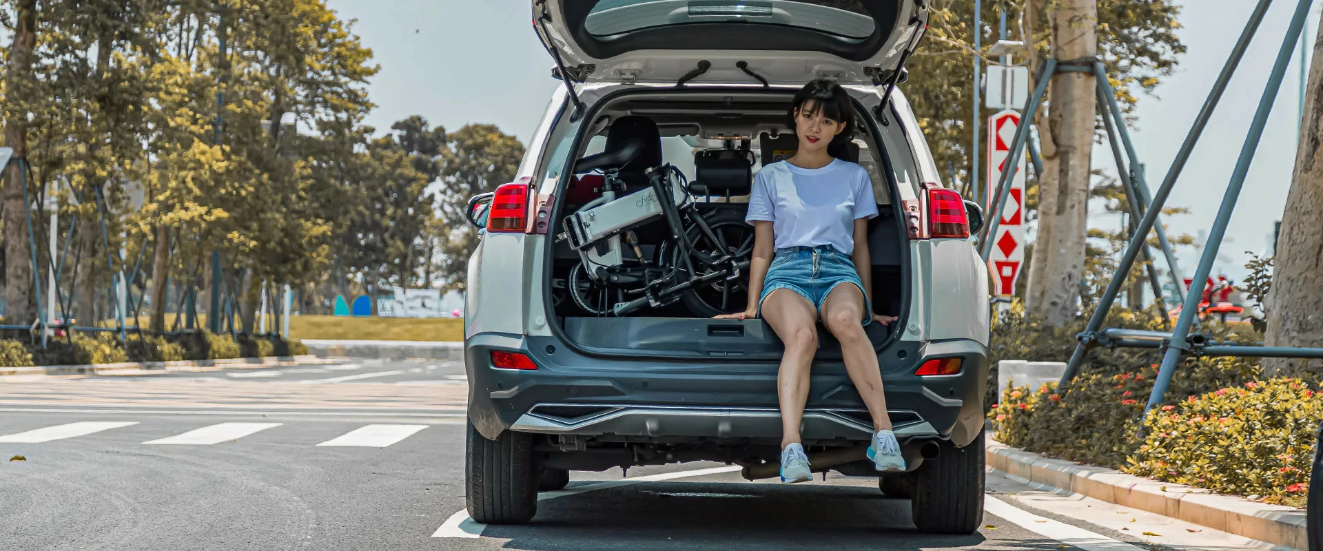 Electric Bicycle Fiido D2S (36 V / 7.8 Ah), Foldable 8 Electric Bicycle Fiido D2S (36 V / 7.8 Ah), Foldable - Image 6