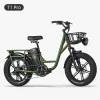Electric Bicycle Fiido T1 PRO (48 V / 20 Ah) -Bicycles shop fiido t1 pro ebike