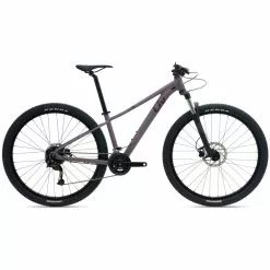 Women’s Bicycle LIV Tempt 3 GE, 29 Inches