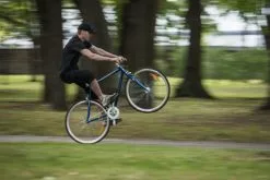 Fixie Excelsior Sputter, Colour Orange, 2 Speeds -Bicycles shop mg 2344 scaled 1